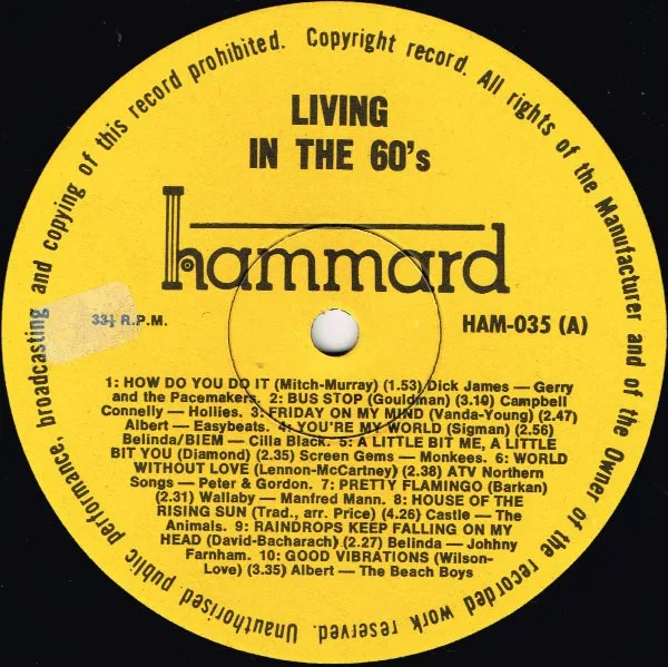 Album cover for Living In The 60's by Various