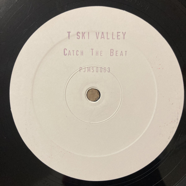 T-Ski Valley - Catch The Beat (Dimi's Mousse T's Old School Remix), Electronic, Disco, Hip-House, House, 2002 - Peppermint Ja