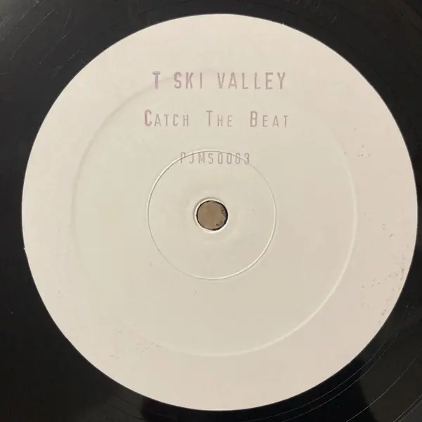 T-Ski Valley - Catch The Beat (Dimi's Mousse T's Old School Remix), Electronic, Disco, Hip-House, House, 2002 - Peppermint Ja
