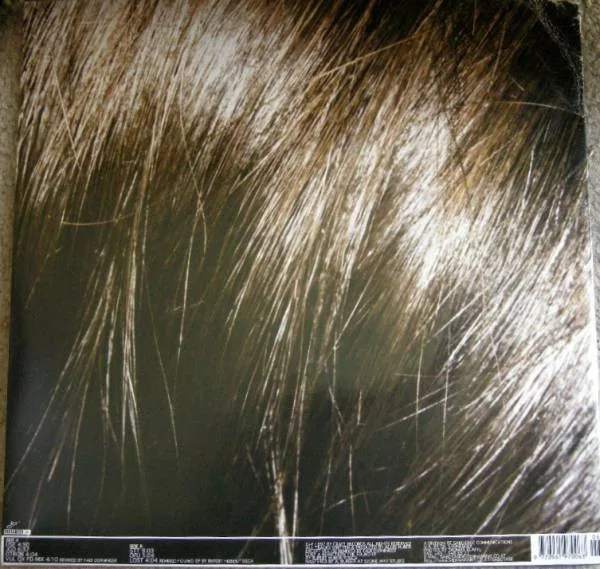 Album cover for Amazing by Alois Huber