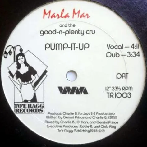 Album cover for You Know What I'm Sayin' (Go-Go) / Pump-It-Up by Marla Mar And Good 'N' Plenty Cru, The