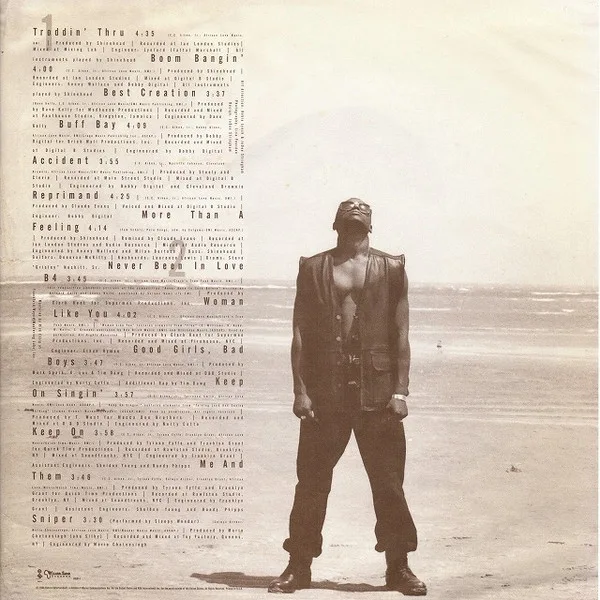 Album cover for Troddin' by Shinehead