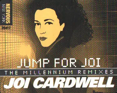 Jump For Joi (The Millennium Mixes)