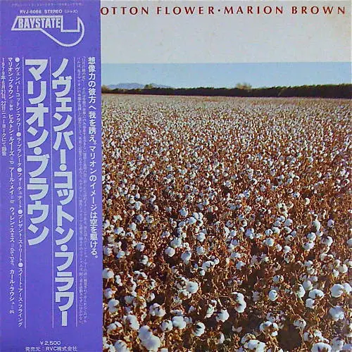 November Cotton Flower