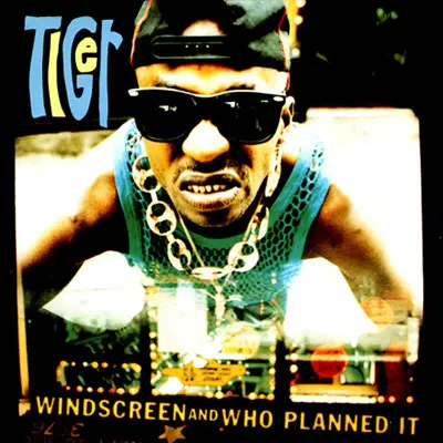 Windscreen / Who Planned It