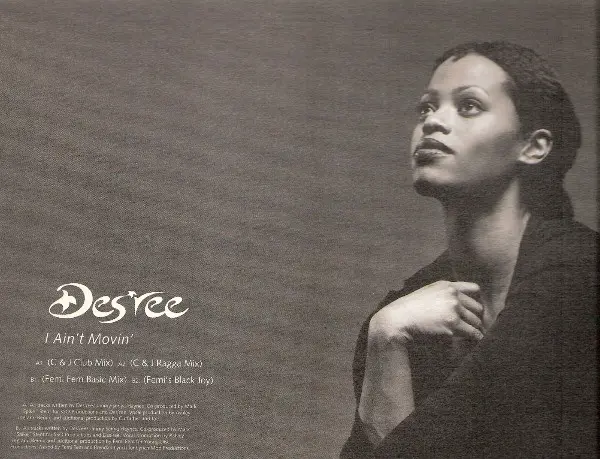 Des'ree - I Ain't Movin', Funk / Soul, Hip Hop, RnB/Swing, 1994 - Sony Soho Square, UK, Vinyl 1x 12", 33 ⅓ RPM