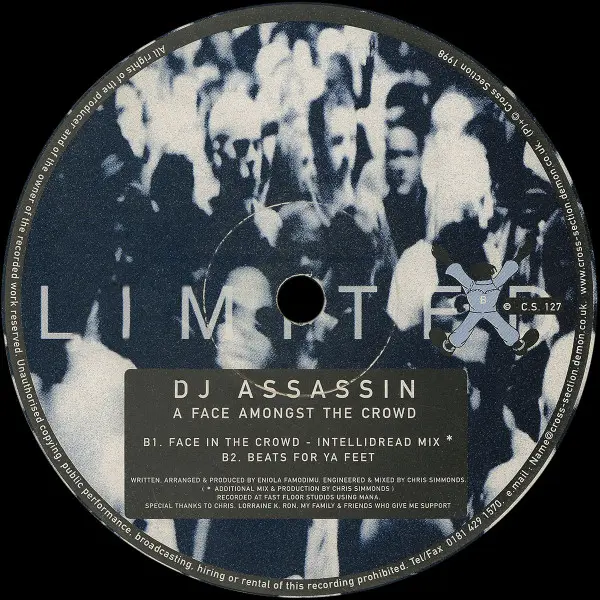 DJ Assassin - A Face Amongst The Crowd, Electronic, House, 1998 - Cross Section Records, UK, Vinyl 1x 12", 33 ⅓ RPM