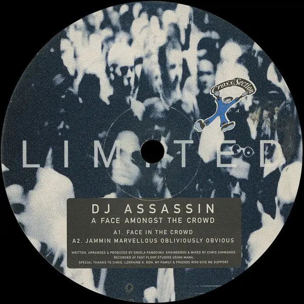 DJ Assassin - A Face Amongst The Crowd, Electronic, House, 1998 - Cross Section Records, UK, Vinyl 1x 12", 33 ⅓ RPM