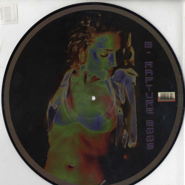 Various - Ibiza Club 19, Electronic, House, 2006 - Ibiza Club, France, Vinyl 1x 12", Unofficial Release, Picture Disc