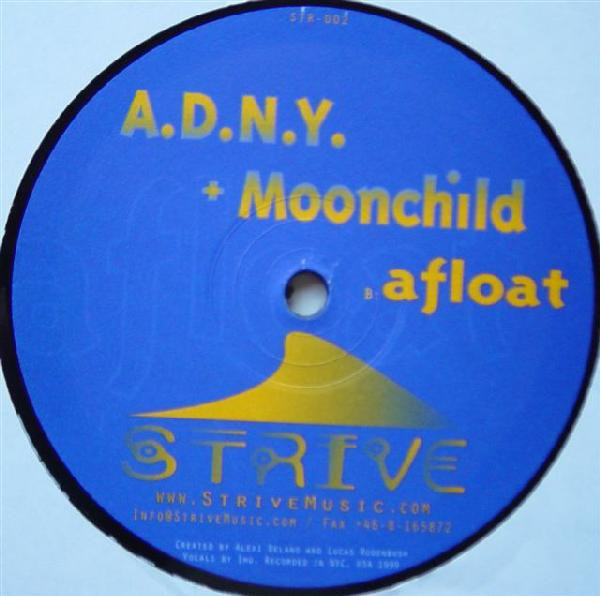 ADNY + Moonchild - Falling / Afloat, Electronic, Tech House, Techno, 1999 - Strive, UK, Vinyl 1x 12"