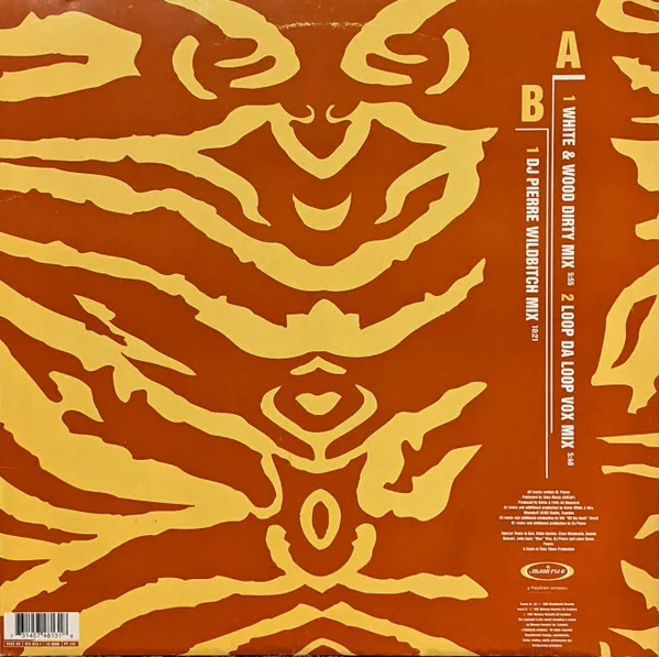 Album cover for Dirty Motha by Qwilo & Felix Da Housecat Featuring Lynn Crouch