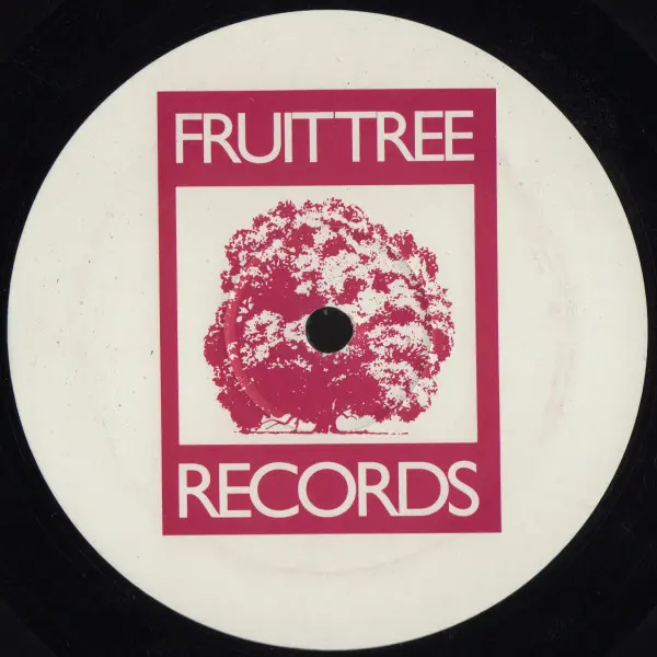 Intuition (3) Feat Gerideau - It's Gonna Be Alright, Electronic, Garage House, House, 1995 - Fruittree Records, UK, Vinyl 1x 