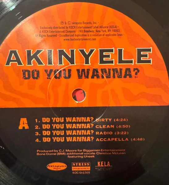 Album cover for Do You Wanna? by Akinyele