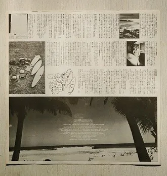 Album cover for The North Shore Dreamin' by Various