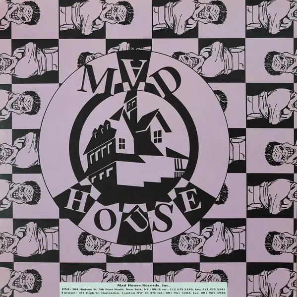 Dennis Ferrer Presents Jennifer Renee Morrison - Sunshine, Electronic, Garage House, House, 2001 - Madhouse Records, US, Viny