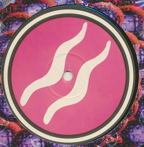 Binary Finary - 1998 / Zapya, Electronic, Trance, 1997 - Aquarius (2), UK, Vinyl 1x 12", 45 RPM