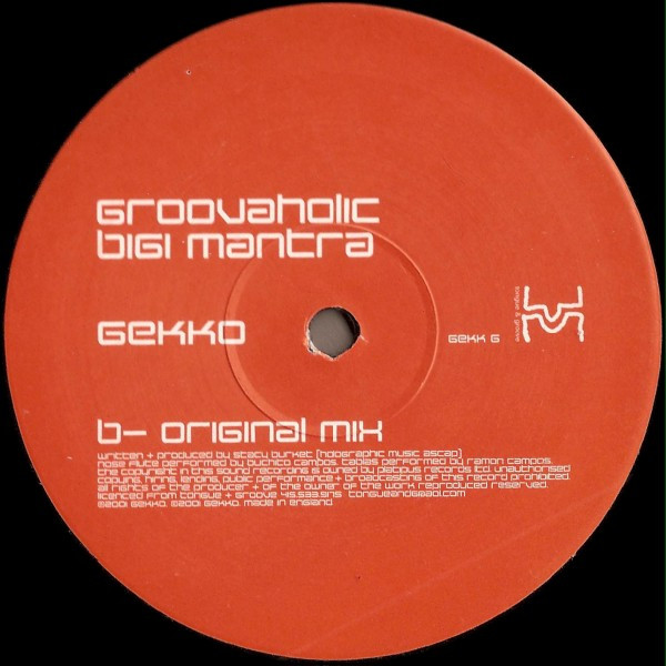 Groovaholic - Bigi Mantra, Electronic, Progressive Trance, Tribal House, 2002 - Gekko, UK, Vinyl 1x 12", 33 ⅓ RPM