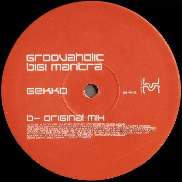 Groovaholic - Bigi Mantra, Electronic, Progressive Trance, Tribal House, 2002 - Gekko, UK, Vinyl 1x 12", 33 ⅓ RPM