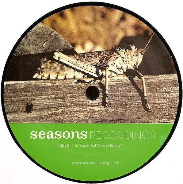 Home & Garden - Beat It 2 Tha Side, Electronic, Deep House, Downtempo, 2002 - Seasons Recordings, US, Vinyl 1x 12"
