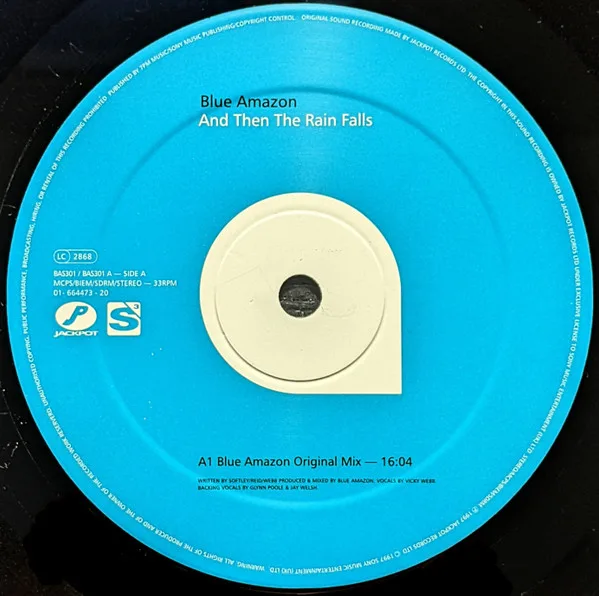 Album cover for And Then The Rain Falls by Blue Amazon