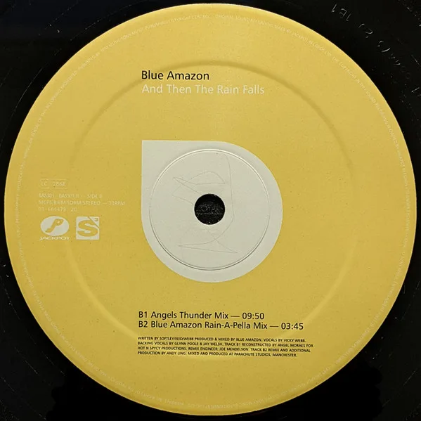 Album cover for And Then The Rain Falls by Blue Amazon