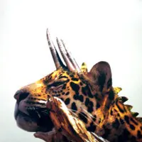 Trip Do Brasil 2 - EP2